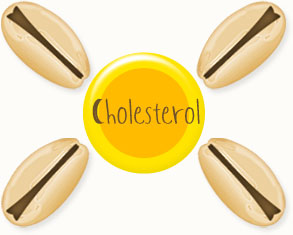 Cholesterol